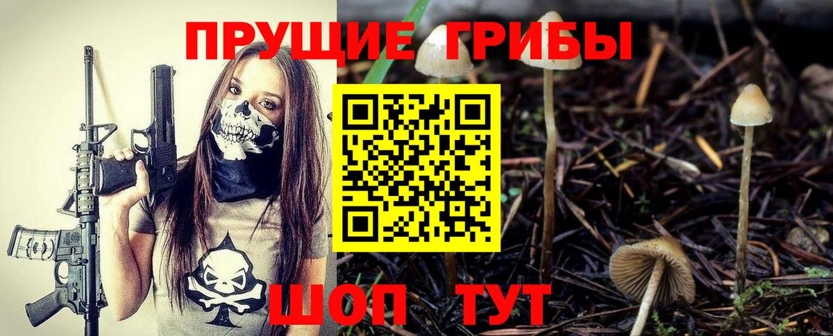 Кинель  Галлюциногенные грибы мицелий  Вход с VPN 